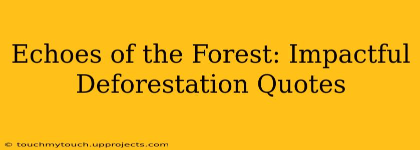 Echoes of the Forest: Impactful Deforestation Quotes