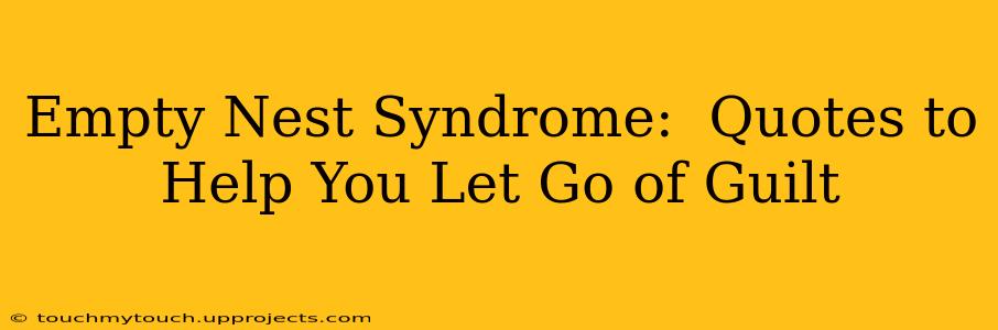 Empty Nest Syndrome:  Quotes to Help You Let Go of Guilt