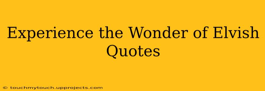 Experience the Wonder of Elvish Quotes