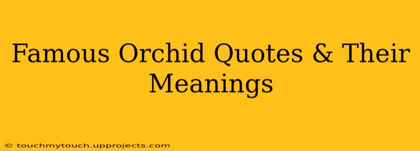 Famous Orchid Quotes & Their Meanings