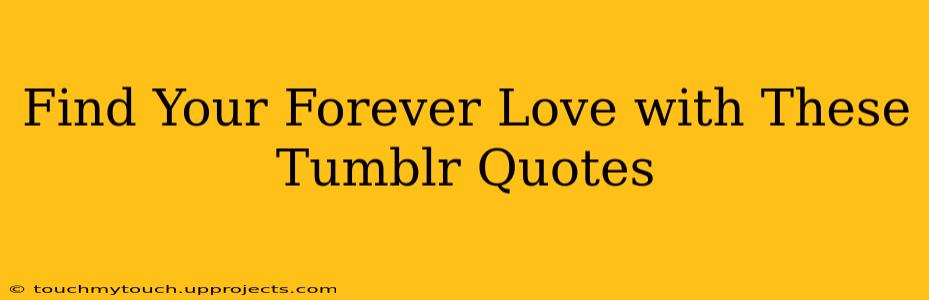 Find Your Forever Love with These Tumblr Quotes