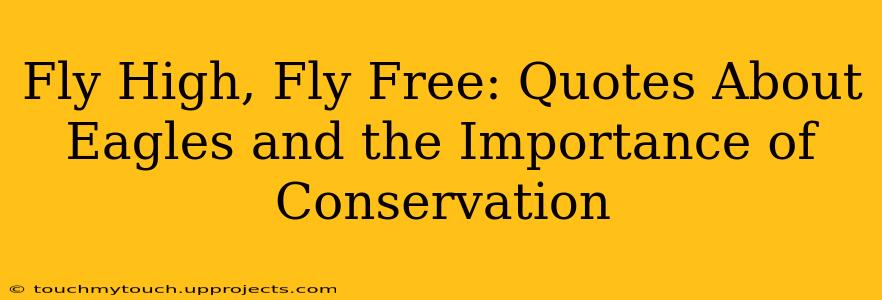 Fly High, Fly Free: Quotes About Eagles and the Importance of Conservation