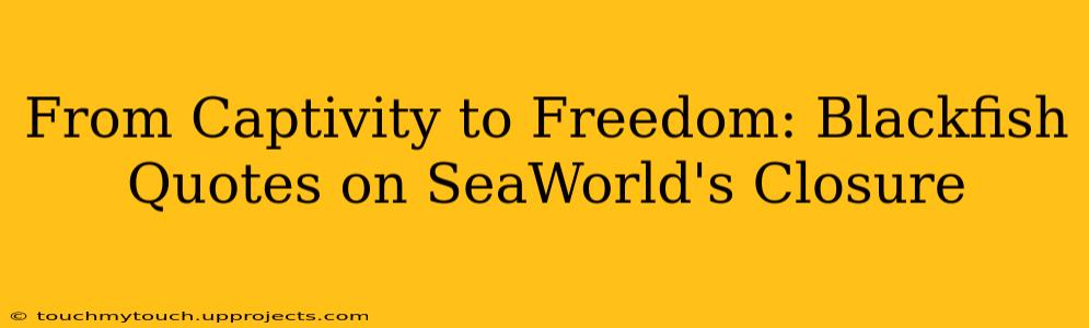 From Captivity to Freedom: Blackfish Quotes on SeaWorld's Closure