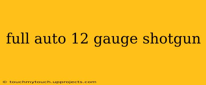 full auto 12 gauge shotgun