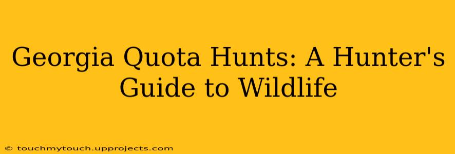 Georgia Quota Hunts: A Hunter's Guide to Wildlife