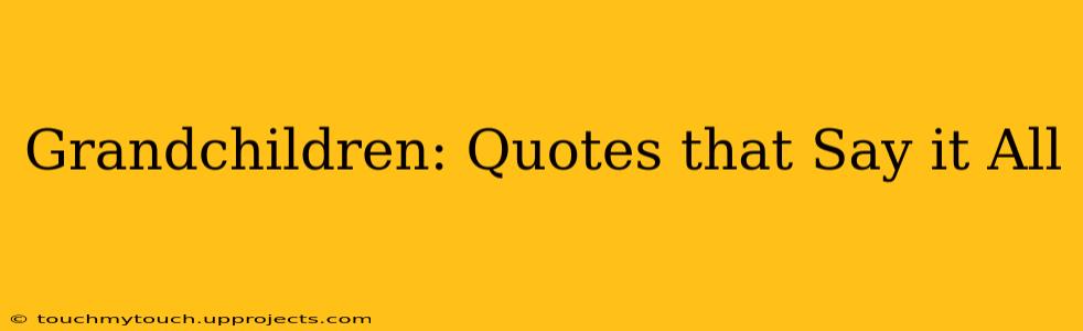 Grandchildren: Quotes that Say it All
