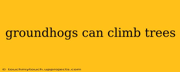 groundhogs can climb trees