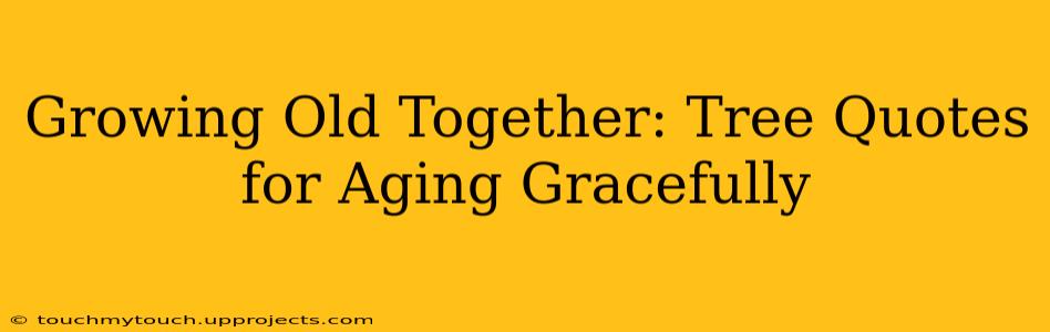 Growing Old Together: Tree Quotes for Aging Gracefully