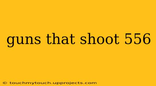 guns that shoot 556