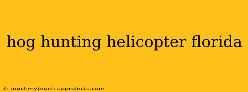 hog hunting helicopter florida