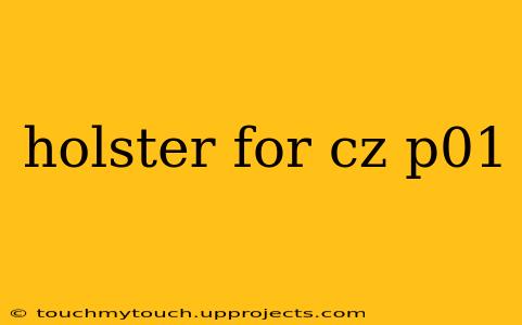 holster for cz p01