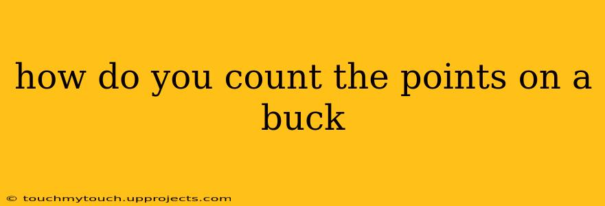 how do you count the points on a buck