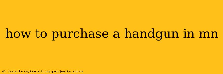how to purchase a handgun in mn