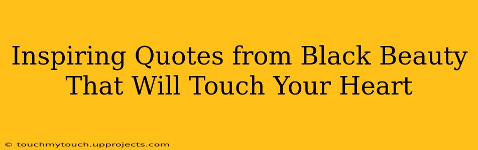 Inspiring Quotes from Black Beauty That Will Touch Your Heart