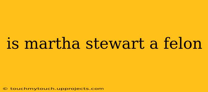 is martha stewart a felon