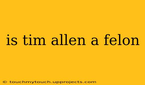 is tim allen a felon