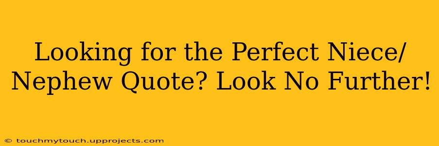 Looking for the Perfect Niece/Nephew Quote? Look No Further!