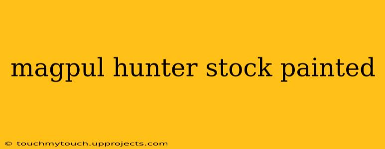 magpul hunter stock painted