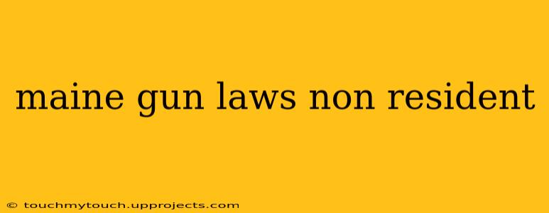 maine gun laws non resident