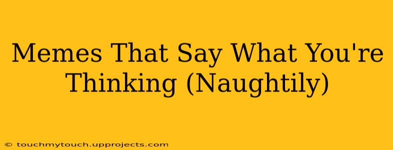 Memes That Say What You're Thinking (Naughtily)