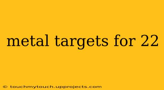 metal targets for 22
