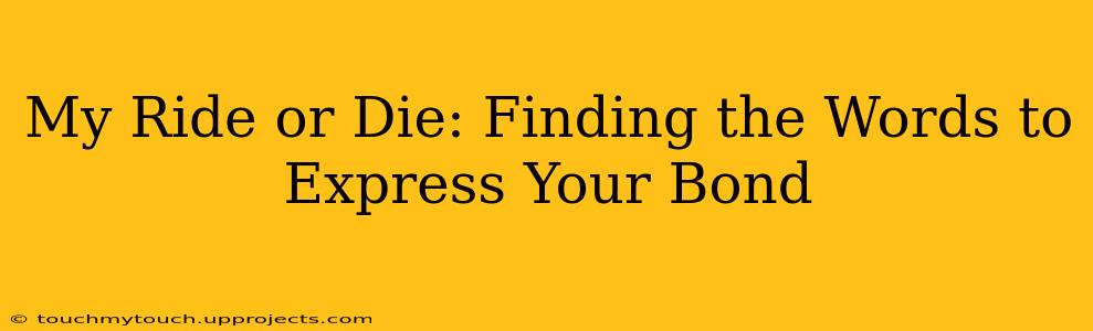My Ride or Die: Finding the Words to Express Your Bond