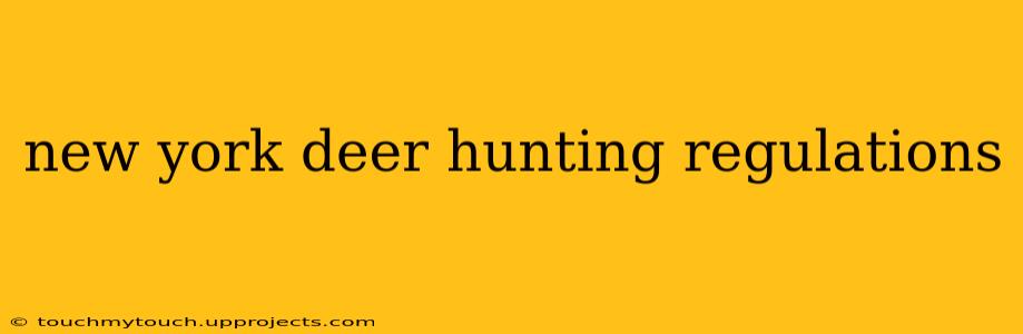 new york deer hunting regulations