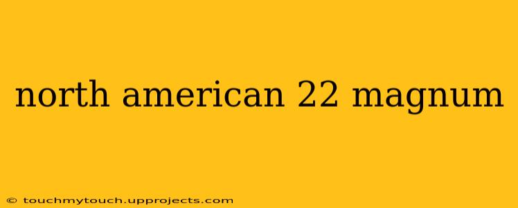 north american 22 magnum