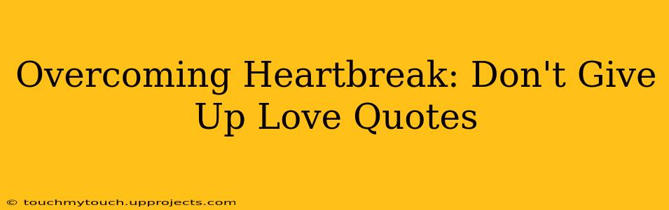 Overcoming Heartbreak: Don't Give Up Love Quotes