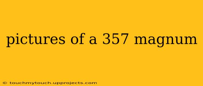 pictures of a 357 magnum