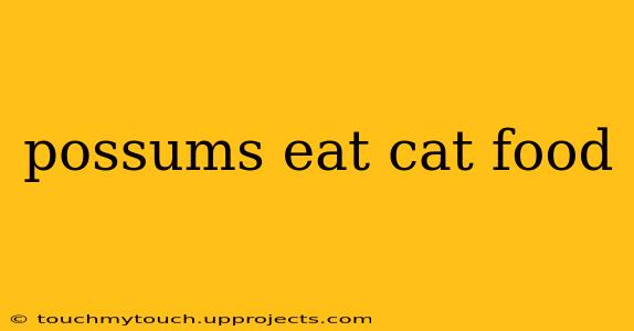 possums eat cat food