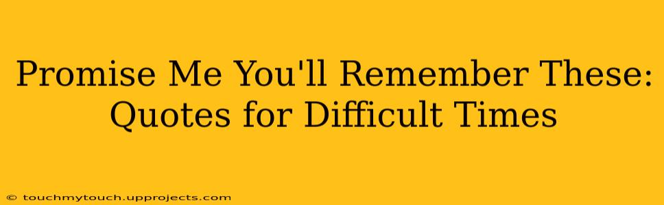 Promise Me You'll Remember These: Quotes for Difficult Times