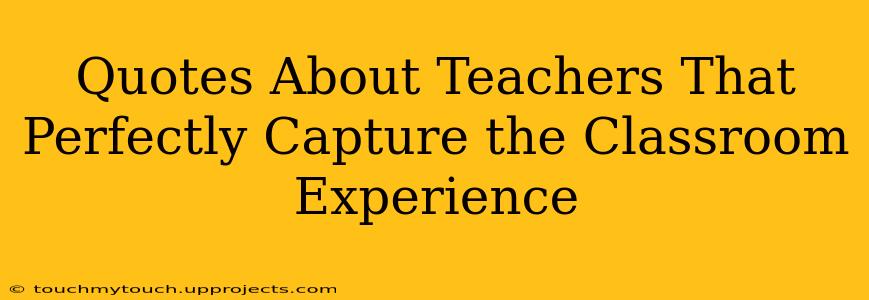 Quotes About Teachers That Perfectly Capture the Classroom Experience