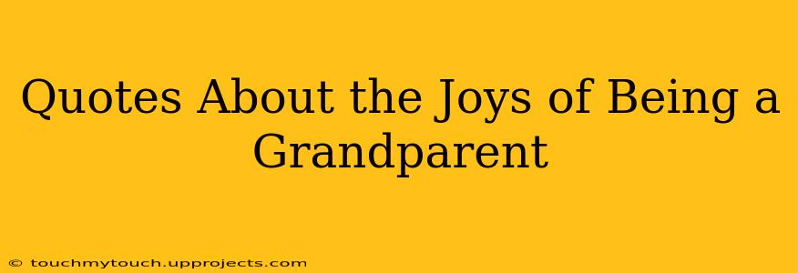 Quotes About the Joys of Being a Grandparent