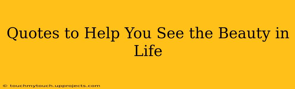 Quotes to Help You See the Beauty in Life