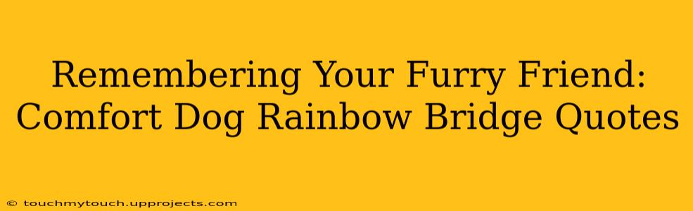 Remembering Your Furry Friend: Comfort Dog Rainbow Bridge Quotes