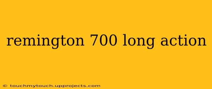 remington 700 long action