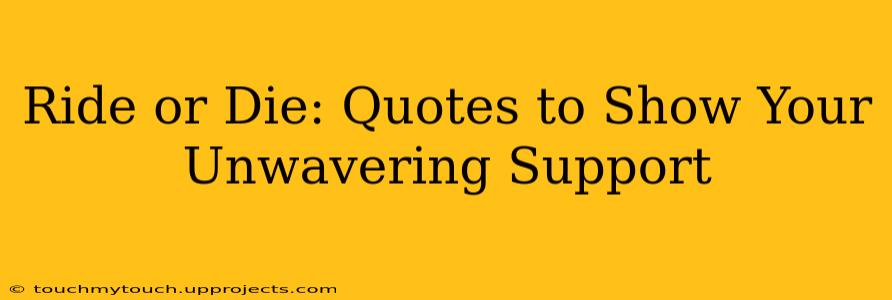 Ride or Die: Quotes to Show Your Unwavering Support