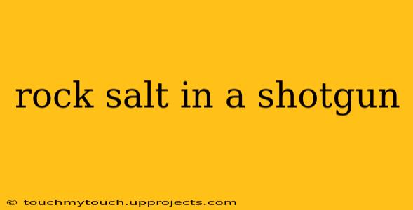 rock salt in a shotgun