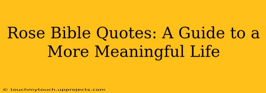 Rose Bible Quotes: A Guide to a More Meaningful Life