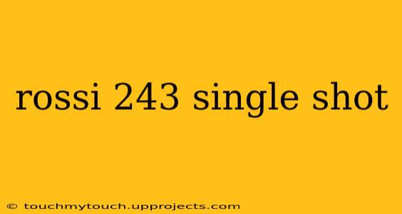 rossi 243 single shot