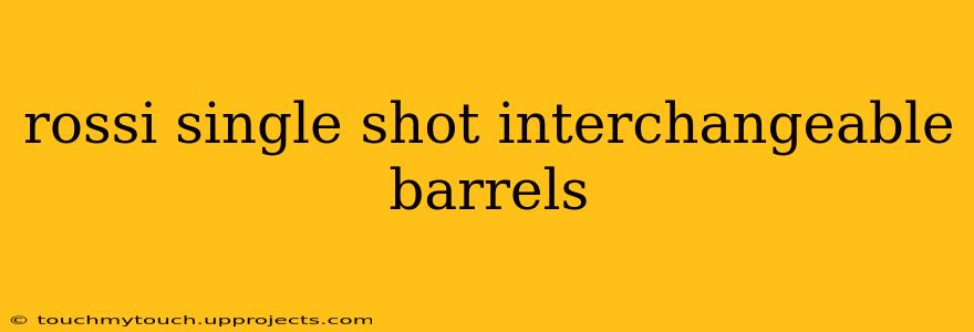 rossi single shot interchangeable barrels