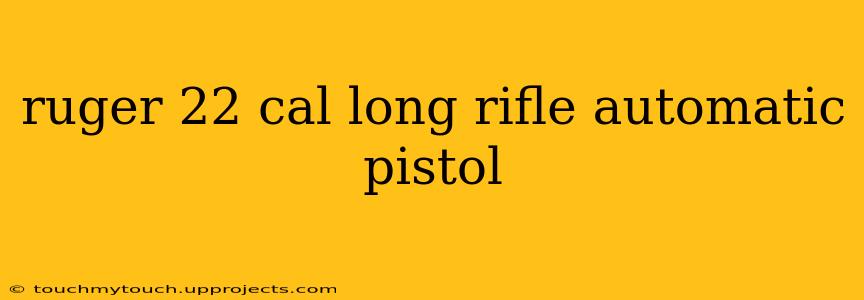 ruger 22 cal long rifle automatic pistol