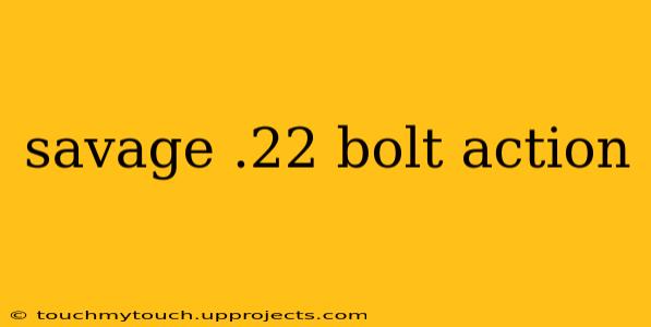 savage .22 bolt action