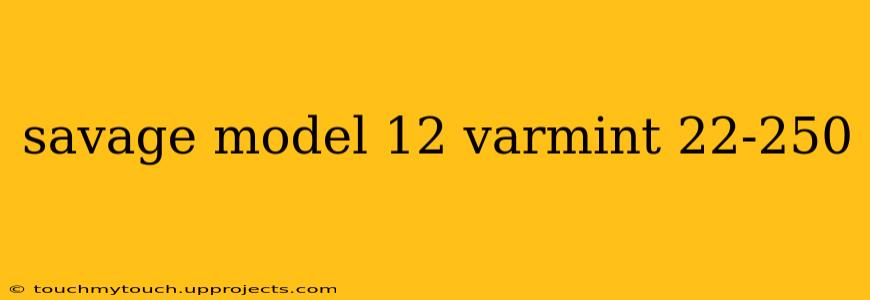 savage model 12 varmint 22-250