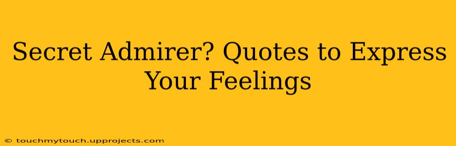 Secret Admirer? Quotes to Express Your Feelings