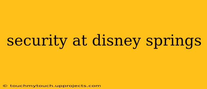 security at disney springs