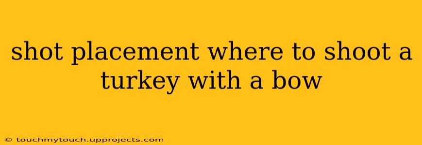 shot placement where to shoot a turkey with a bow
