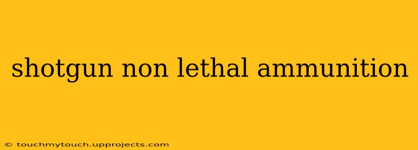 shotgun non lethal ammunition