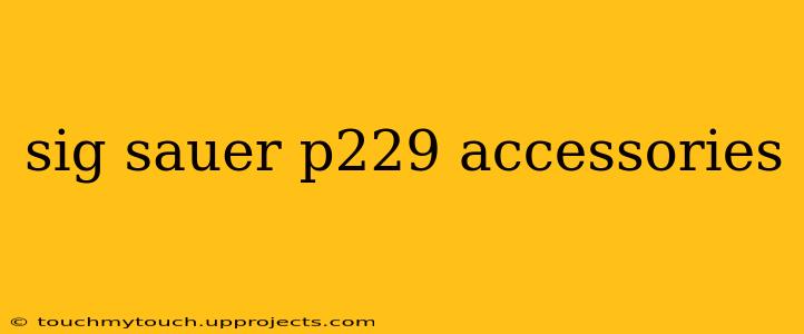 sig sauer p229 accessories
